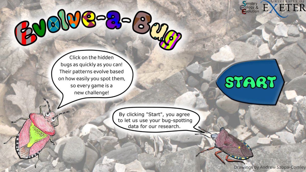 Emmanuelle Briolat (@esbriolat) on Twitter photo The bug hunt is on! In our latest #citizenscience game, find the hidden shieldbugs and watch camouflage evolve: with every play, your results shape the next generation of targets, so they should become harder and harder to spot! evolution.sensoryecology.com The bug hunt is on! In our latest #citizenscience game, find the hidden shieldbugs and watch camouflage evolve: with every play, your results shape the next generation of targets, so they should become harder and harder to spot! evolution.sensoryecology.com