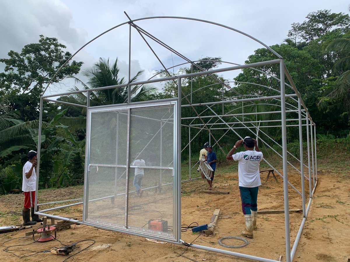 AGRIDevelopmnts's tweet photo. Construction on #AGRIdevelopments new nursery in #NegrosOriental #Philippines continued today. New #mango and #Hass #avocado #sapling cultivation will begin later this week for planting scheduled over the #Christmas period. https://t.co/j7xwXyqeK4