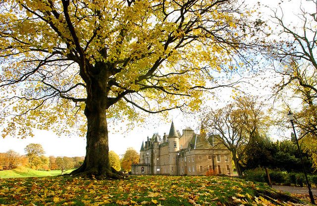 FalkirkLandC's tweet photo. Why not try Callendar House's new Bake Away takeaway service this October? Hot drinks, filled breakfast rolls, the classic Callendar House scone, all freshly prepared ready for you to take away and enjoy in the autumnal splendour of the Park. Book now: https://t.co/o7Y2wRSc6p https://t.co/6OduTXzz77