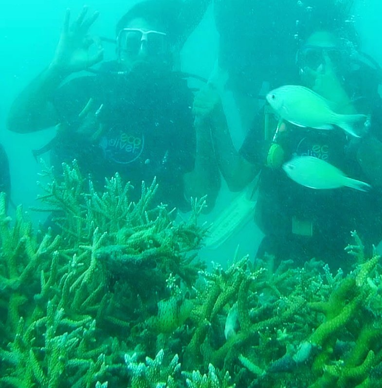 'You'll want to protect something you appreciate'Appreciating Nature in  #water #ScubaDiving @ Havelock, Andaman to understand     #CoralReefs & Marine diversity in pristine Islands. Its effect can only be experienced!            (5/8)