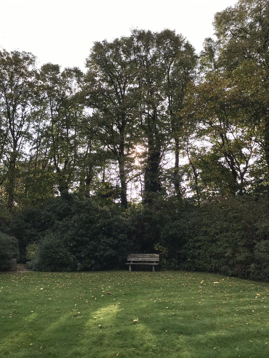 threeharesbooks's tweet photo. Exciting news, Three Hares will be publishing a new title early Spring 2021... ⭐️🌟✨💫 #publishing #publishinglife #MondayMotivation #books #Reading https://t.co/IMsy5JycjN