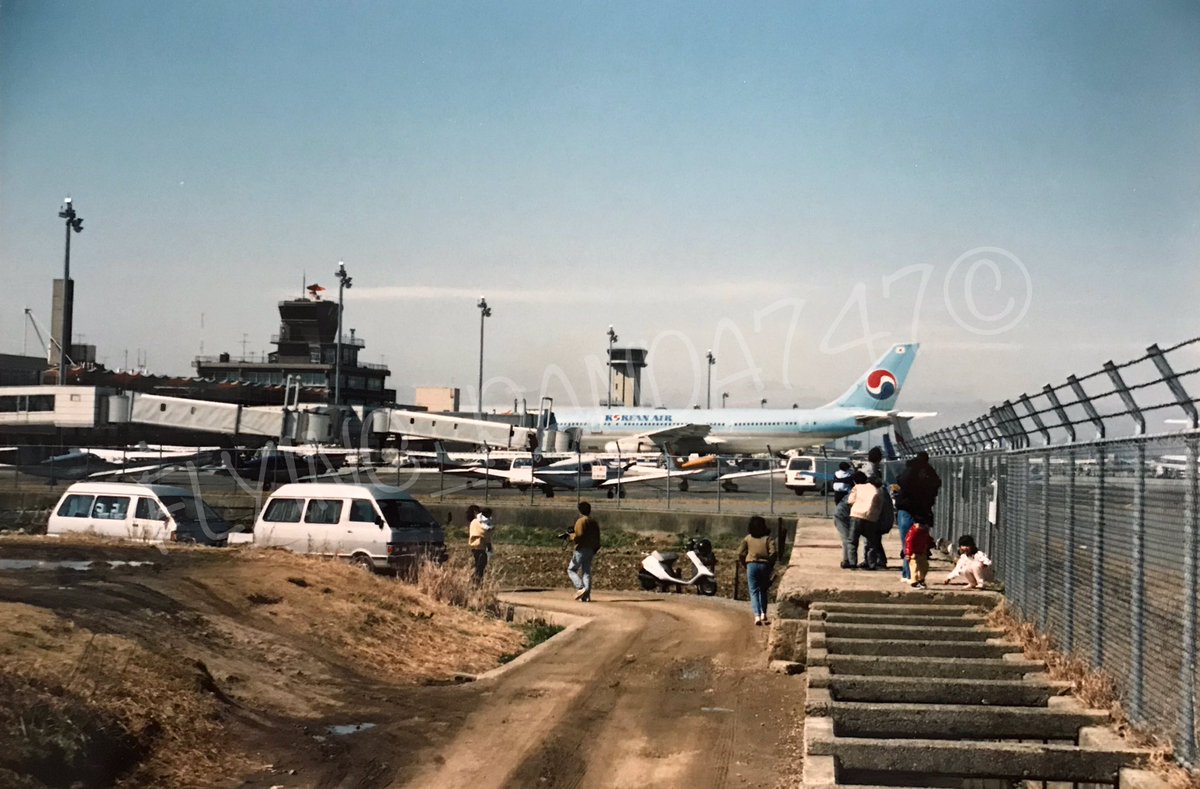 Flying Panda 747 tweet media