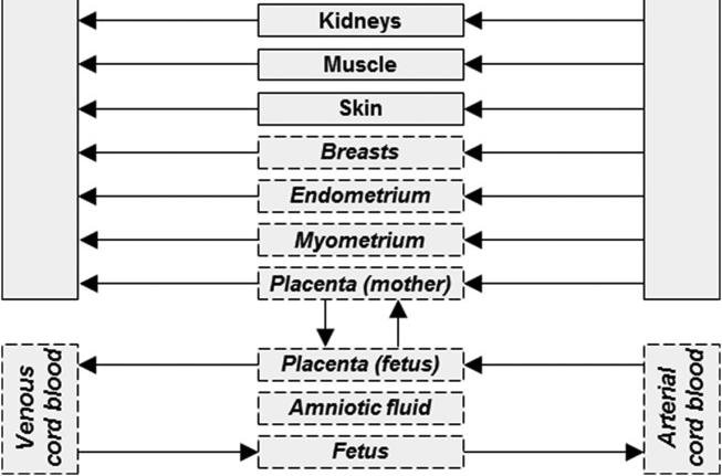 ASCPTjournals's tweet photo. #PSPjournal #Pregnancy Virtual Issue: André Dallman and team (UKBB, @Bayer) share a Tutorial on using Open Systems #Pharmacology #PBPK software to model drug disposition in pregnant populations. @ospsuite #openscience

https://t.co/qkq08pot5d https://t.co/fhTpE7WQR0