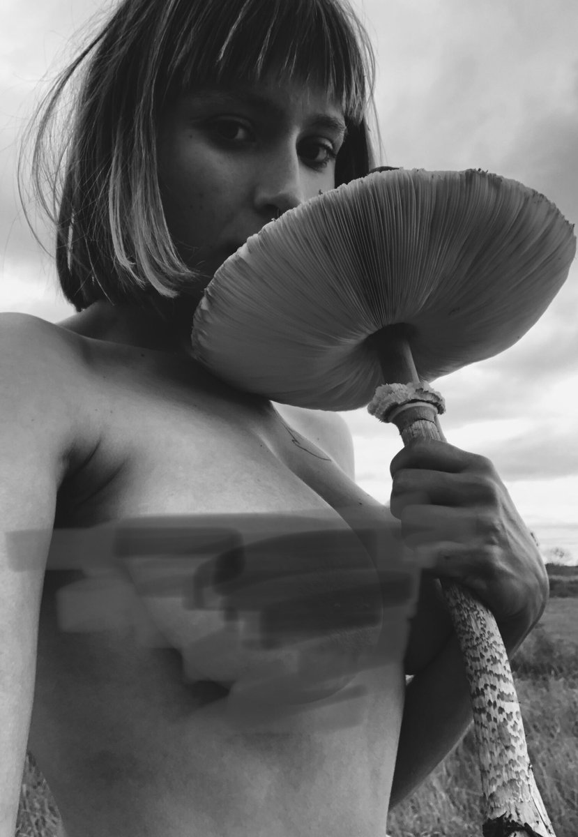 chcherryOF's tweet photo. Hey guys 👅
I’ve been busy with creating lots of outdoors content this weekend! Had a few really beautiful shootings 🌿📸🍄
If you wanna see me getting completely naked in forest and playing in nature - 

❤️hop to my OnlyFans, it’s only 7$ now❤️

https://t.co/k7kkkzI7Yq https://t.co/G9Hzc8hlHj