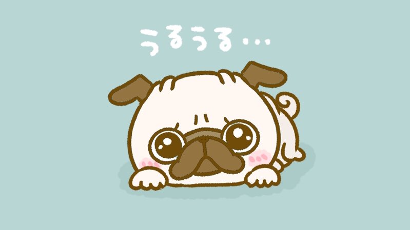 パグちゃん Piyopugchan Twitter パグちゃん Piyopugchan Twitter