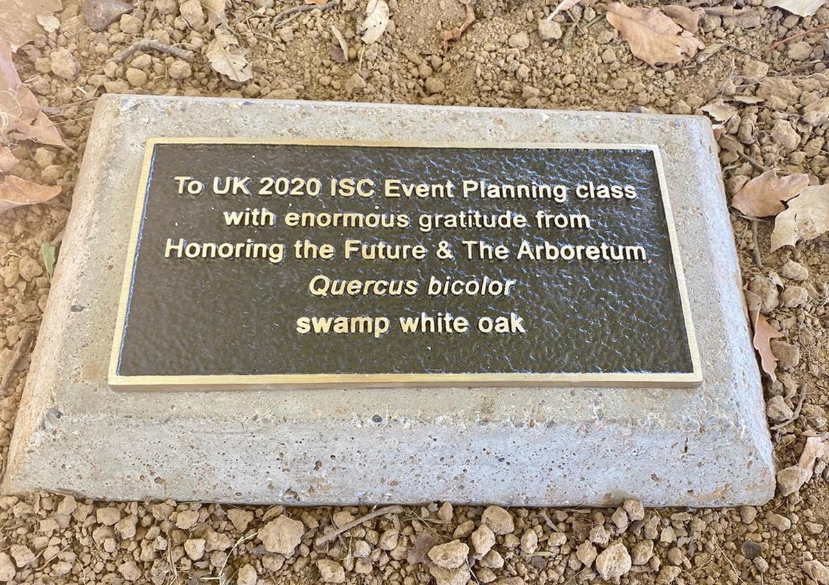 Honoring_Future's tweet photo. For local #TreeWeek, Oct. 10-17, we and the @UKArboretum dedicated a Swamp White Oak tree at the Arboretum to the creative and amazing 2020 UK @ISCEventPlanner Class students who helped bring our #HonoringTrees art exhibition to national attention. https://t.co/LWlnEsDWBk https://t.co/X8Q5SB9BGf