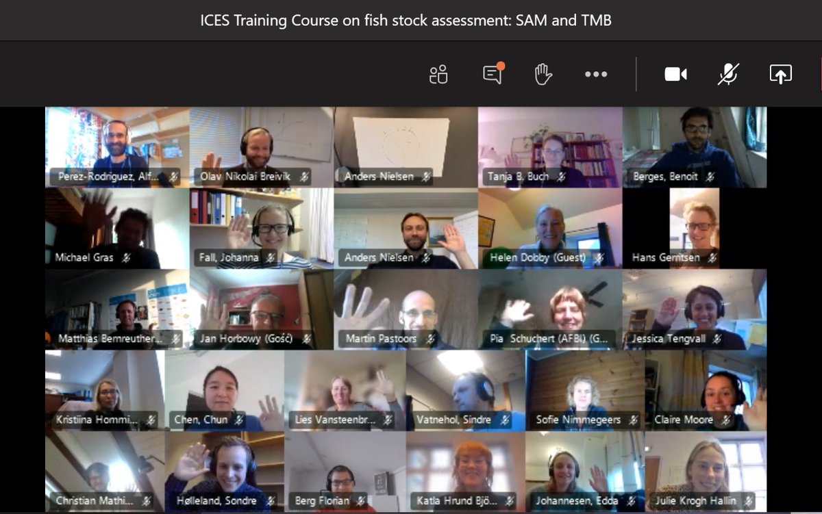 ICESmarine's tweet photo. Our first ever online #training course was a success! It takes creative thinking &amp; solutions to make a move to the online format but we did it! Read more about the experiences of our fish stock assessment model online course instructors and participants: https://t.co/qdphObuTr2 https://t.co/hzjSQqDSUy