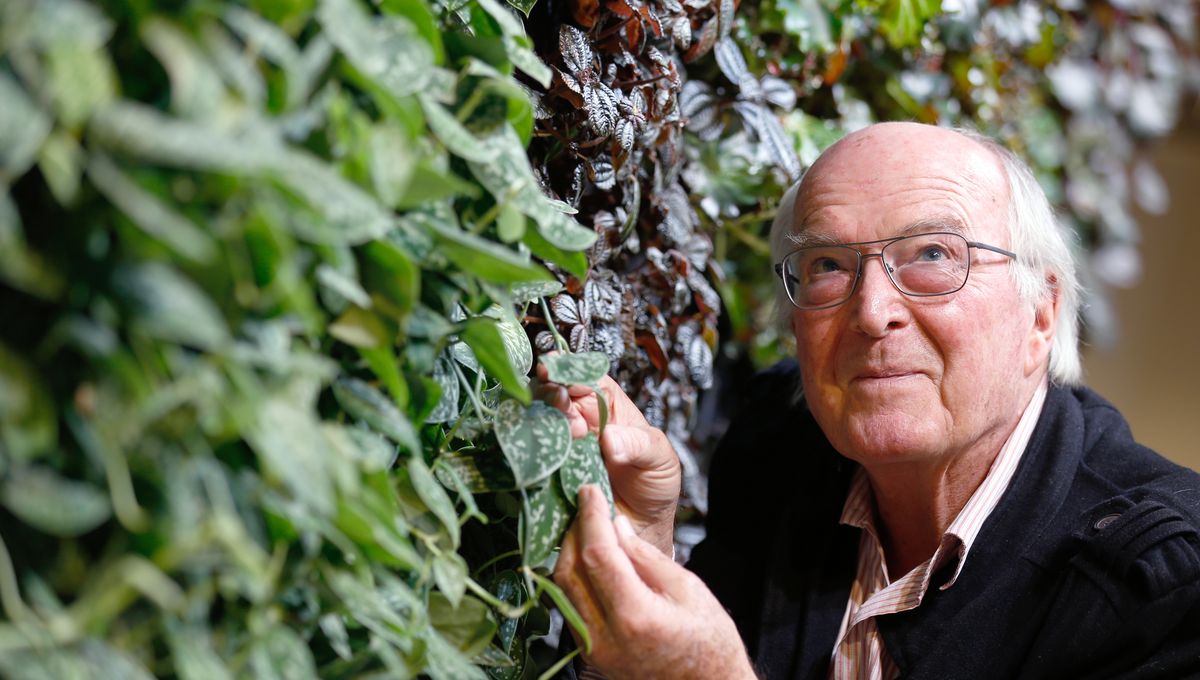 Solutions&Co (@solutionsandco) on Twitter photo 🌳🌿🦡 French biologist Francis Hallé has been campaigning for the rebirth of primary forests in Western Europe. A major project to follow on <a href="/AssoFHalleForet/">Association Francis Hallé pour la Forêt Primaire</a>
Read the interview <a href="/open_resource/">Open {re}Source</a> by <a href="/suez/">SUEZ</a>: bit.ly/3nTWKXi 🌳🌿🦡 French biologist Francis Hallé has been campaigning for the rebirth of primary forests in Western Europe. A major project to follow on <a href="/AssoFHalleForet/">Association Francis Hallé pour la Forêt Primaire</a>
Read the interview <a href="/open_resource/">Open {re}Source</a> by <a href="/suez/">SUEZ</a>: bit.ly/3nTWKXi