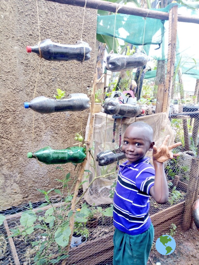 KichiniGardener's tweet photo. #MondayMotivation
#mondaythoughts
Children are Kings and queens in adventure, they want to explore and learn. 
This vertical garden of lettuce (green &amp; red)🥗🥙🥙, spring onions and parsely is making them think hard🌱🌱😊😍

We're moving forward to explore more, give testimonies https://t.co/rxgDGqoonQ