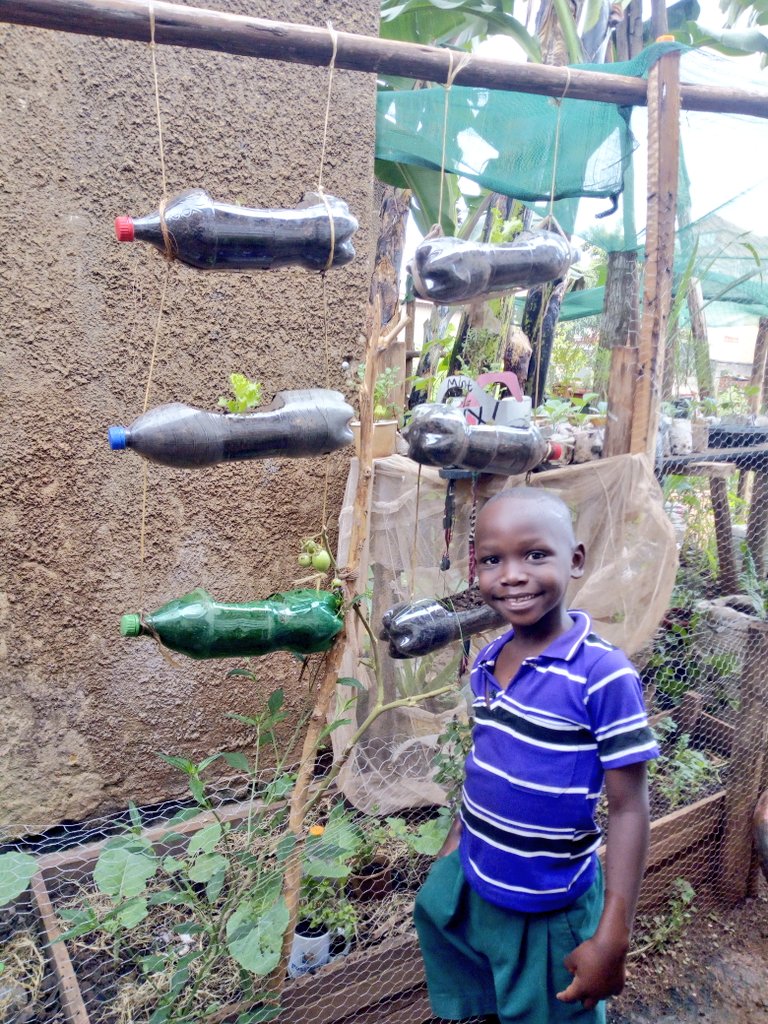 KichiniGardener's tweet photo. #MondayMotivation
#mondaythoughts
Children are Kings and queens in adventure, they want to explore and learn. 
This vertical garden of lettuce (green &amp; red)🥗🥙🥙, spring onions and parsely is making them think hard🌱🌱😊😍

We're moving forward to explore more, give testimonies https://t.co/rxgDGqoonQ