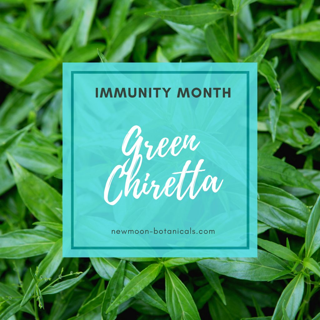 EarthwiseHerbs's tweet photo. Green Chiretta (Andrographis paniculata) also known as the “king of bitters” has a long reputation as immune enhancing herb especially in Ayurvedic medicine where it is also applied various digestive disorders.

.
.
.
.
.
. https://t.co/0jgkZqC7hf