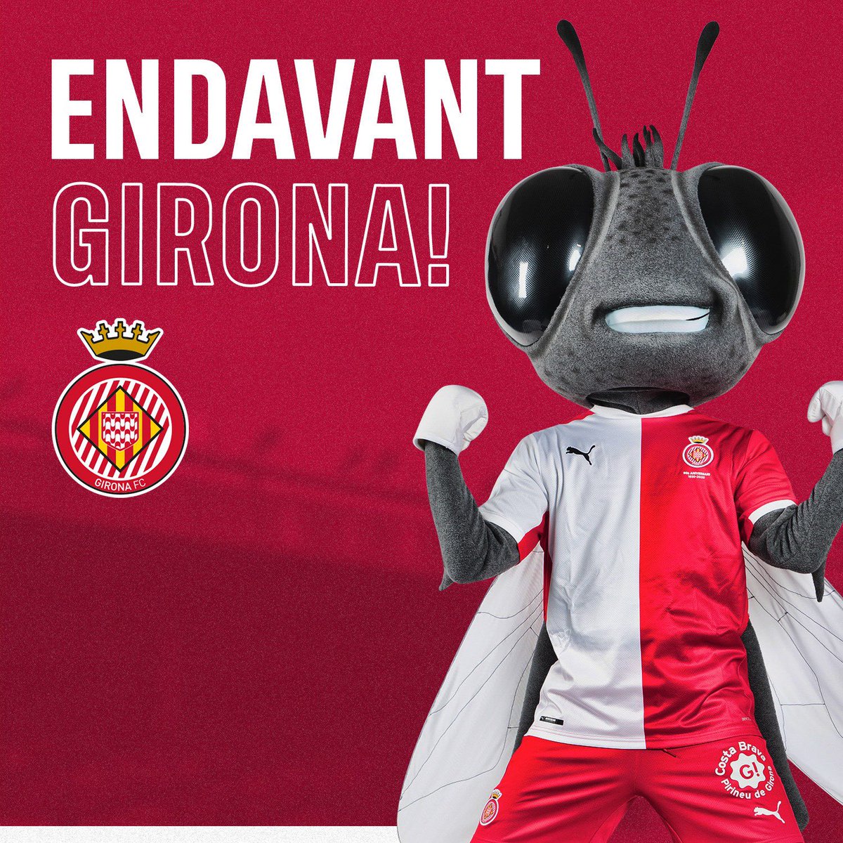 mosca_sisa's tweet photo. Una estrena a Montilivi immillorable! 😝😍👏🏻👏🏻

Tres punts d’or per sumar la segona victòria consecutiva! 💪🏻 Som-hi Gironaaa!! @GironaFC ❤️🤍

#LaMoscaSisa #GironaFC #Sisa12 https://t.co/vkN5rw9OKR
