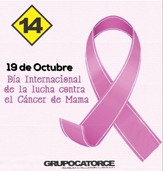 Ruta 14 (@ruta14online) on Twitter photo 