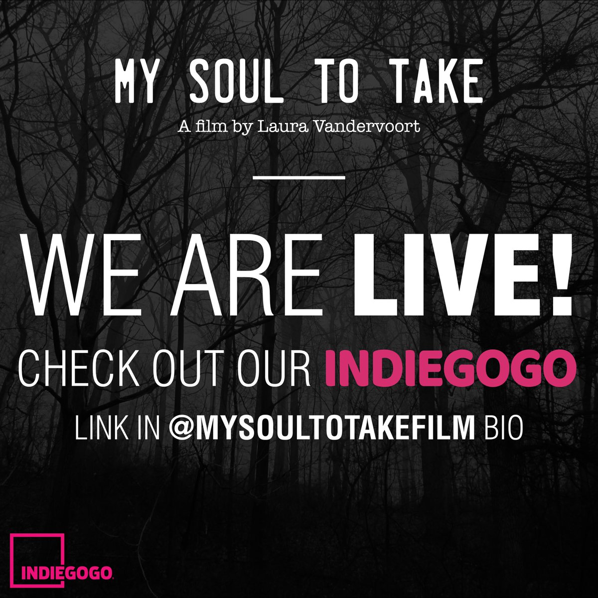 Laura Vandervoort Coates tweet media