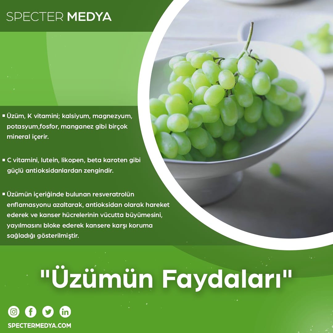 Ekimin tam 'Üzüm🍇' ayı olduğunu biliyor muydunuz ? 
İşte Üzüm'ün insan vücuduna olan faydalarından birkaçı !
• İçerik: Refia Güner
• Tasarım: @semanursahiiin
#SağlıklıYaşam #Üzüm #ekim #ekimmeyveleri #fruits #healthyfood #octoberfruits #mevsimmeyveleri #ayinmeyvesi #instachef