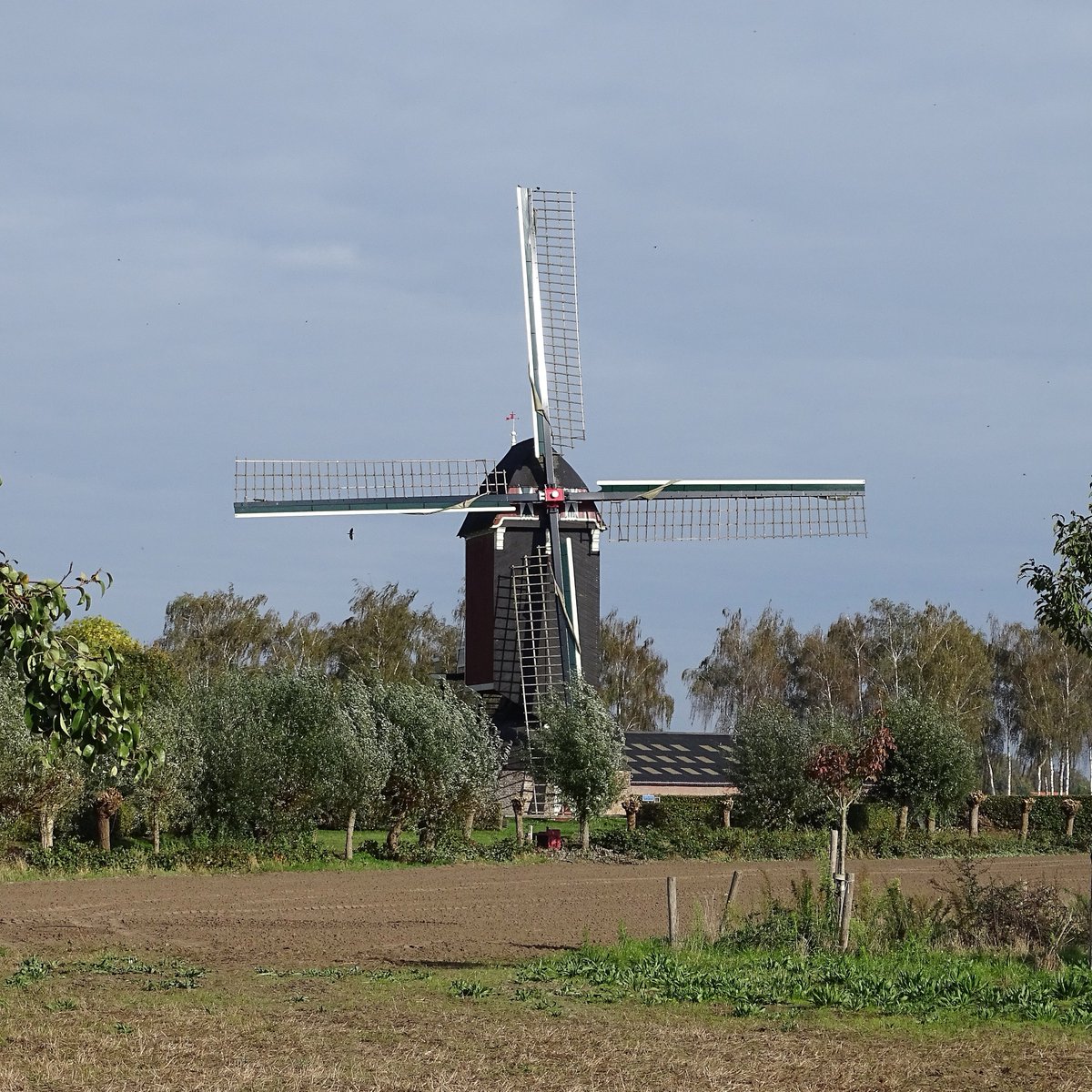 'T zonnetje 🌤️ probeert het in <a href="/Geffen_nl/">Geffen.nl</a>  ... 
#herfstvakantie