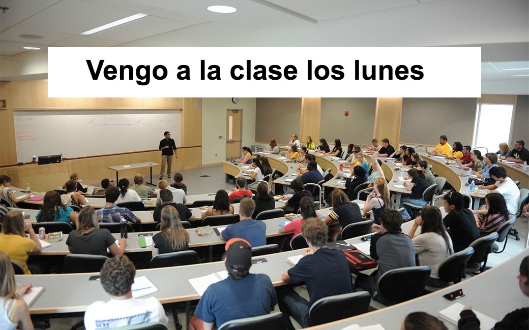 Lina Rubina tweet media