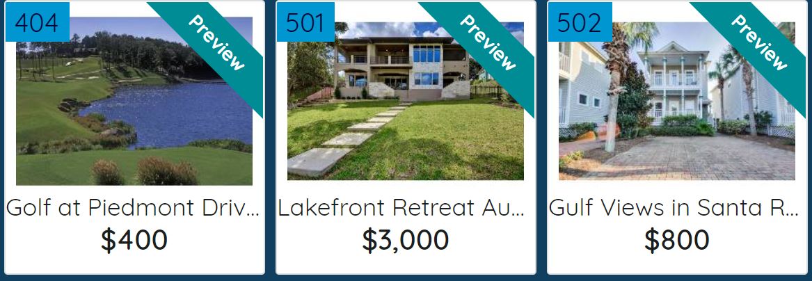 Virtual Event: Silent Auction Open for Bids - mailchi.mp/068cd561afe7/a…