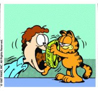 GarfFood's tweet image. dms are now open! here’s the original image i use to make these. make funny things please