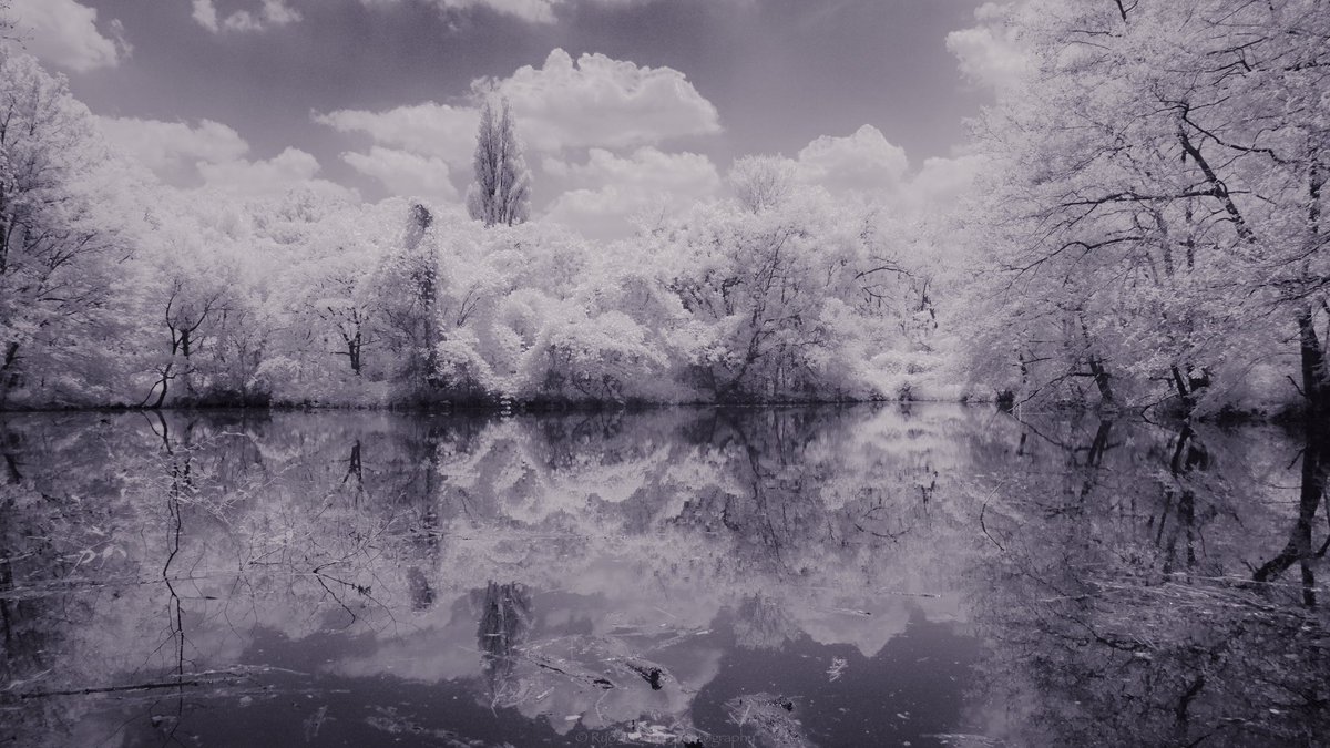 mizuhagraphy's tweet photo. Infrared https://t.co/xjmBoaZjCC