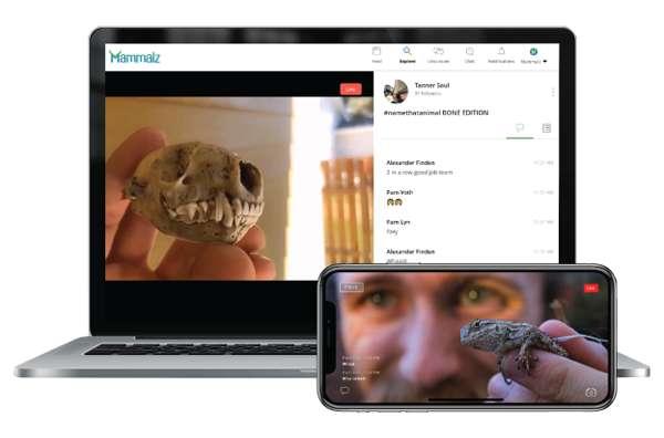 Wildlife_Film's tweet image. Read how #Mammalz is Seeking Content Creator Partners Ready to Share Nature in Real Time! 👀 And @mammalzpbc’s @pamvoth &amp;amp; @alexfinden are attending @WildscreenFest
… connect with them! 💚 #WildscreenFestival #WSF2020 #wildlifefilmmaking  #livestreaming 🤳 wildlife-film.com/features/Mamma…