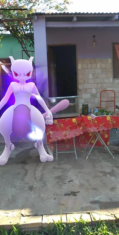 Pokemon_Go_Py's tweet image. Mi situación económica:

“Mewtwo Oscuro se queda sin trabajo por pandemia y es contratado por un Entrenador para venta de yuyos”

#Pokemon #PokemonGO #Mewtwo #Shadow #TeamGORocket