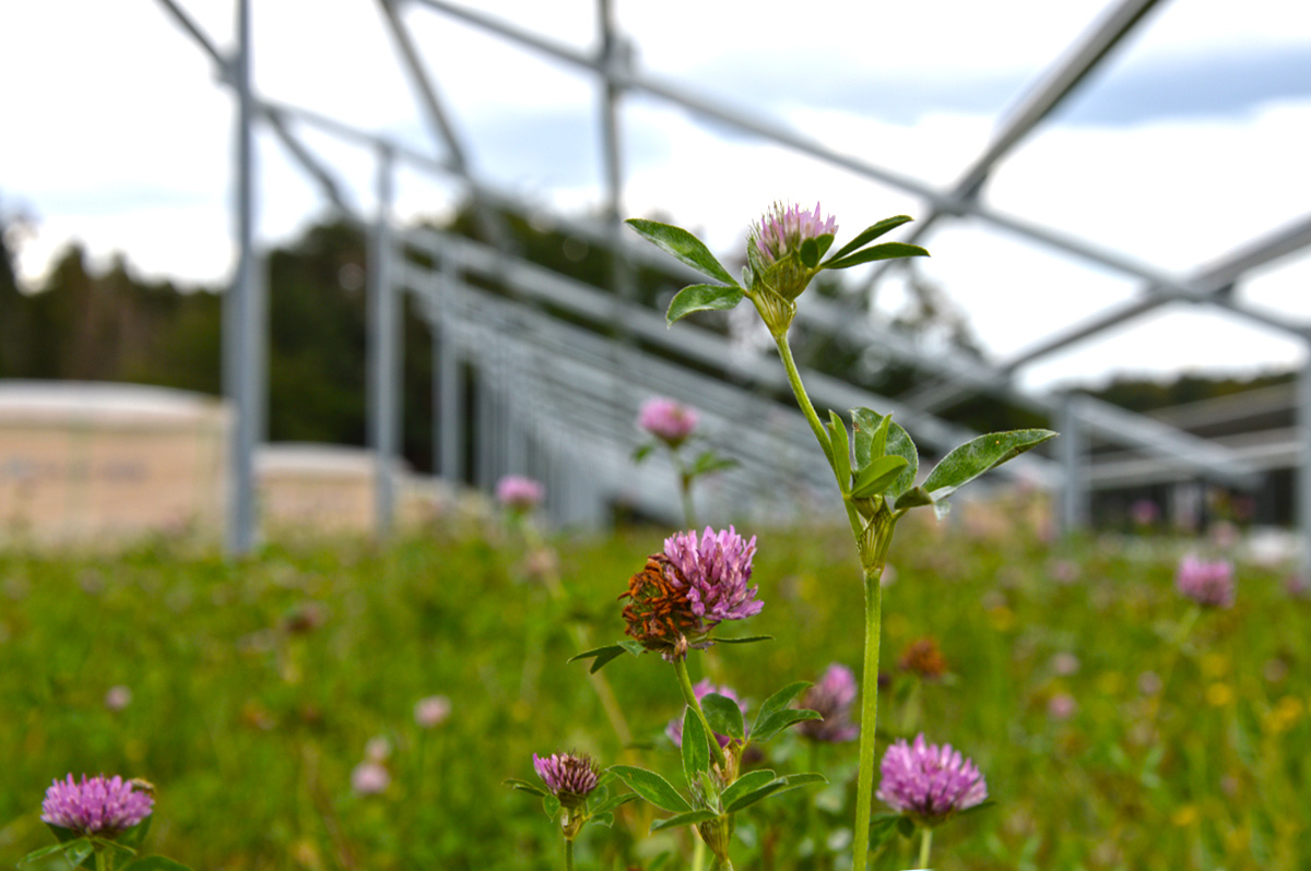 JurchenTech's tweet image. Construction of the 5.8 MW Bonnhof solar power plant is now complete! The system incorporated our well-proven TwinBase design. 
More information about the advantages of our TwinBase design at bit.ly/3lOidQ6 #pvsubstructure #solarrackingsystem #solarmountingsystem #solar