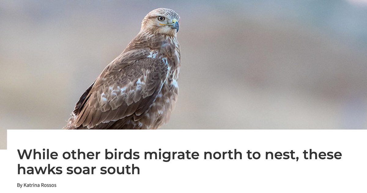 nasw.org/article/while-…