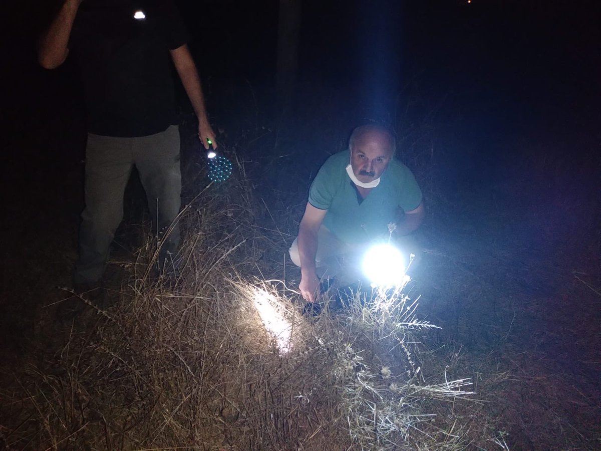 Usülsüz avcılkla mücadelemiz aralıksız devam ediyor... <a href="/dkmpbolge10/">DKMP 10. Bölge Müdürlüğü</a> #hunter #avkoruma