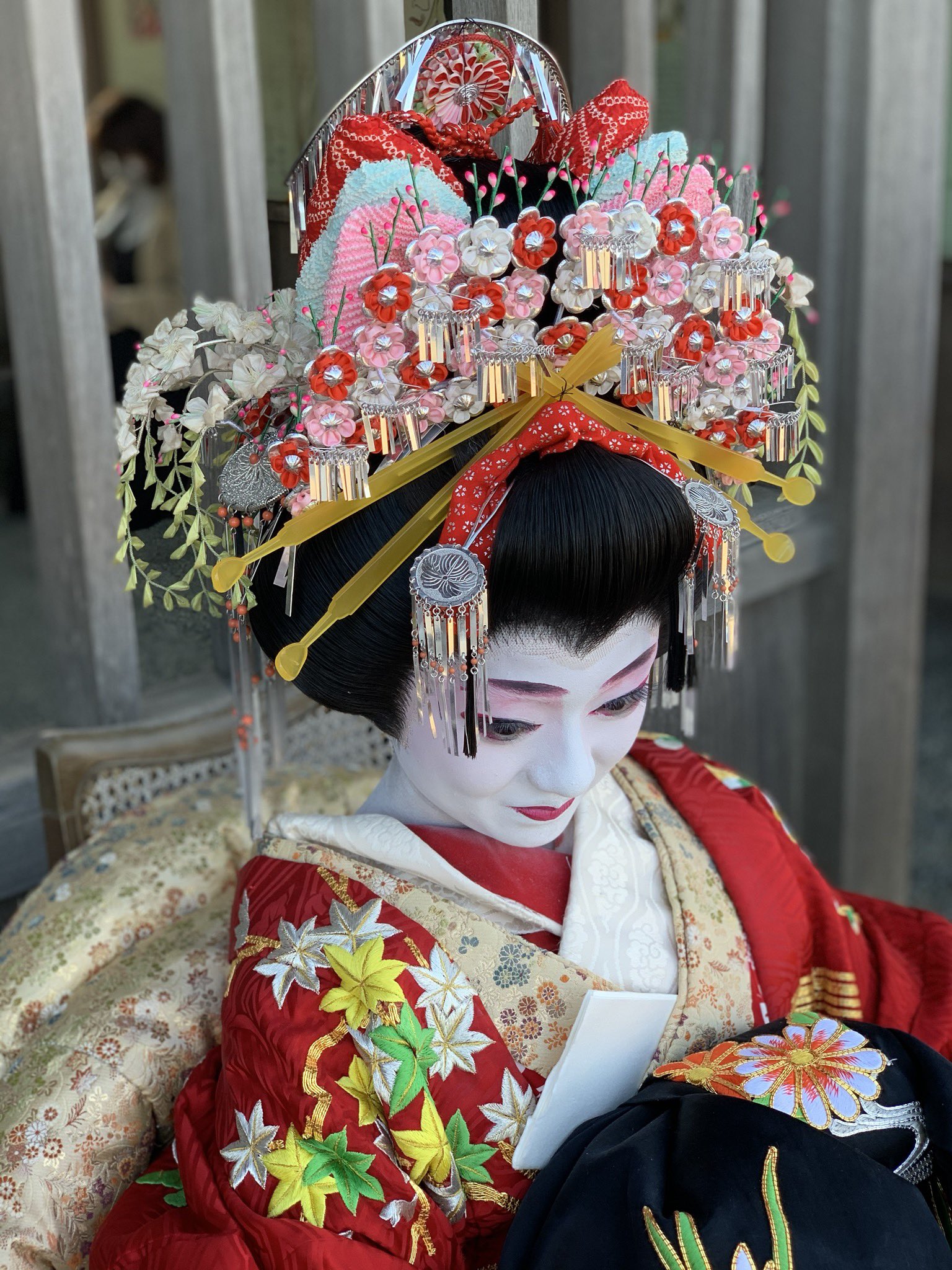 京かつら 花嫁 カツラ 日本舞踊 今西かつら 大衆演劇 花魁 思いやっ 京かつら 花嫁 カツラ 日本舞踊 今西かつら 大衆演劇 花魁 思いやっ