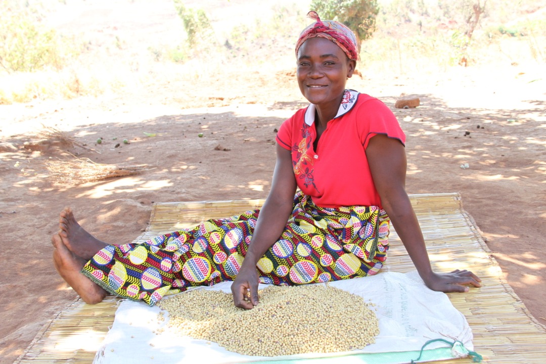 Ireland in Malawi tweet media