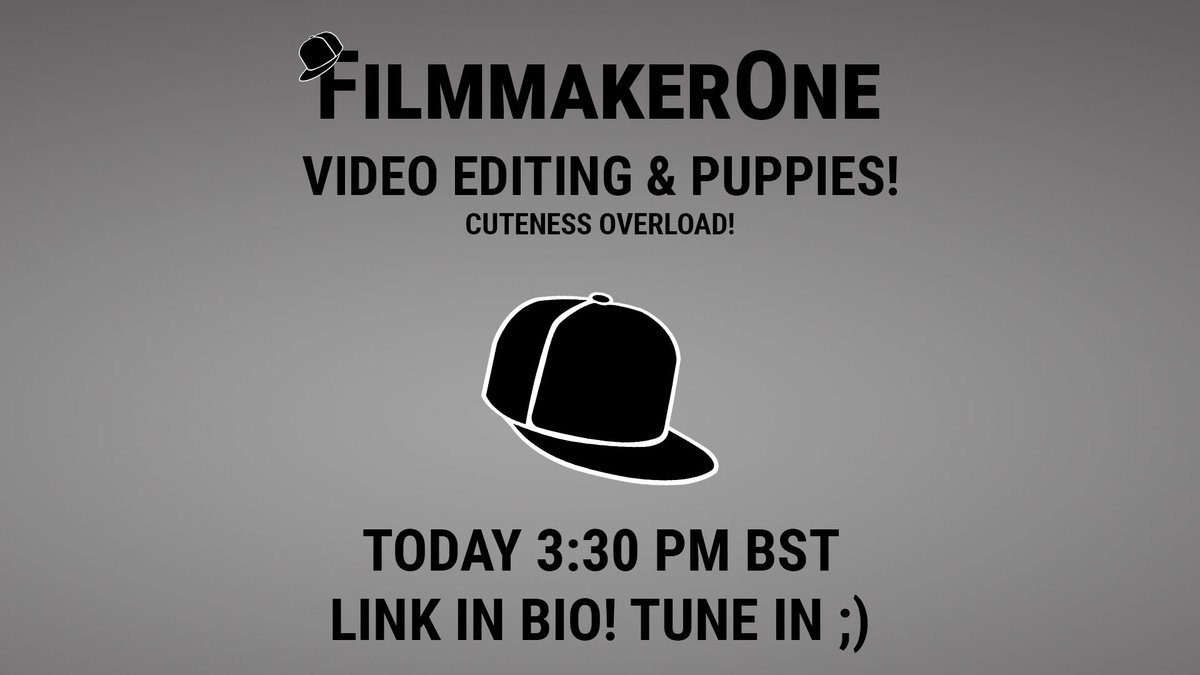 FilmmakerOne's tweet image. I am back and I brought puppies with me! Tune in ;) #streamer #twitch #puppy #videoediting