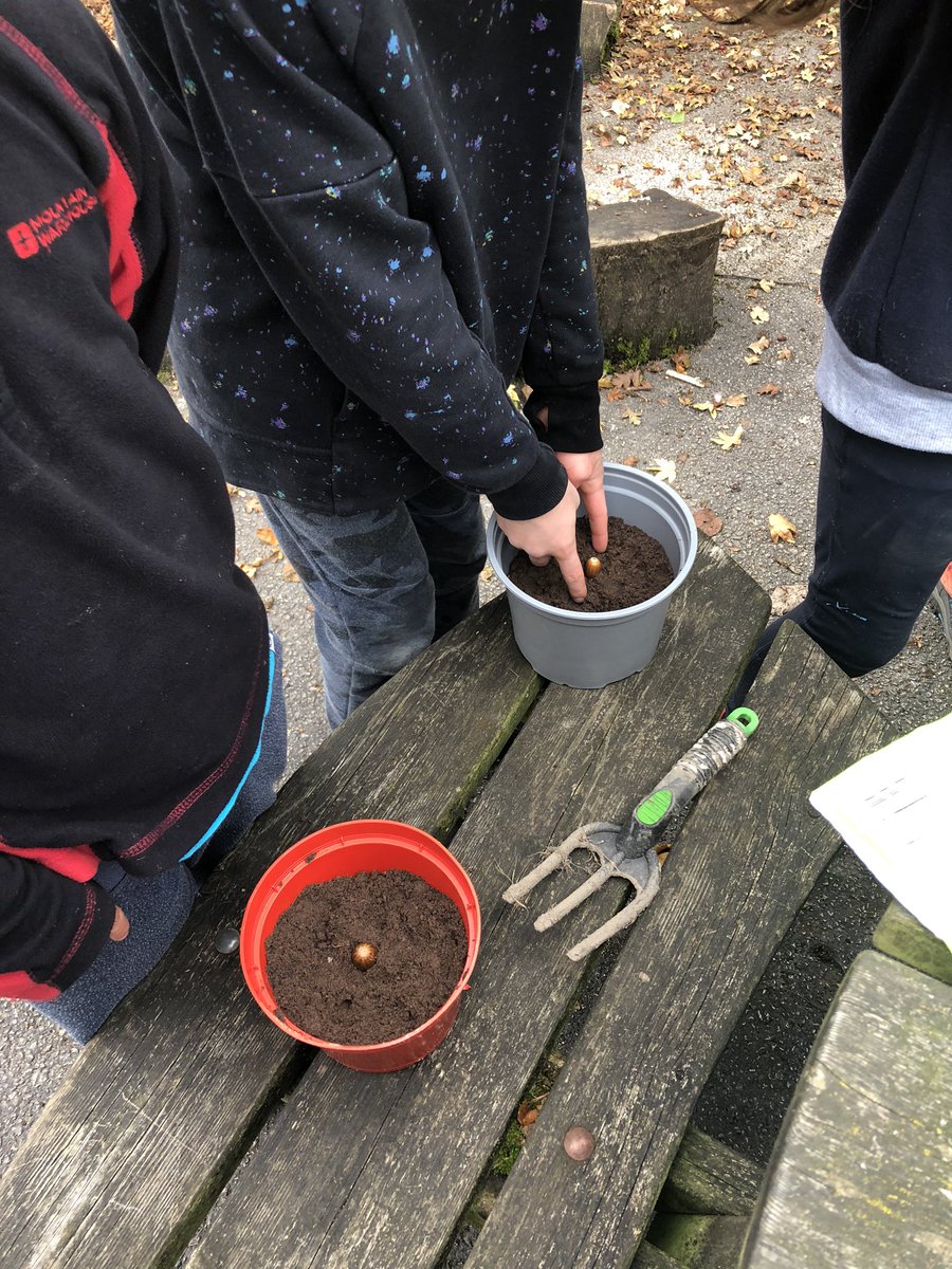 MosesLeanne's tweet photo. @SychdynSchool Year 4 have been busy planting acorns and creating nature mandalas this afternoon π±ππ #seedthepromise https://t.co/e851ADMYHN