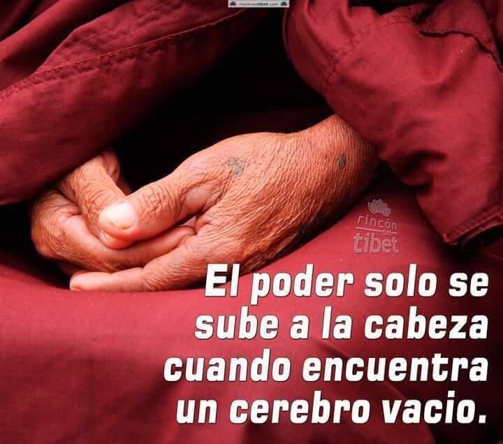 robertologbr's tweet image. 