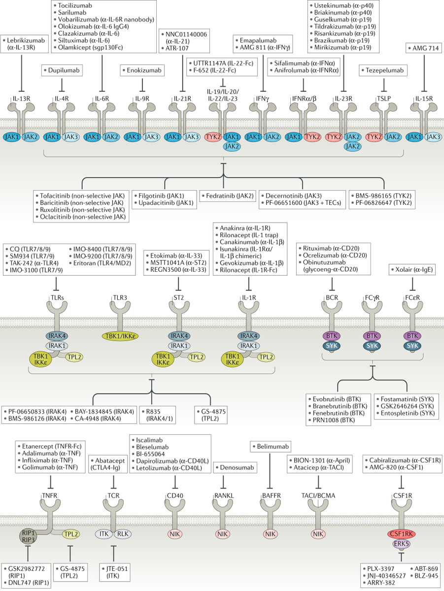 Nature Reviews Drug Discovery tweet media