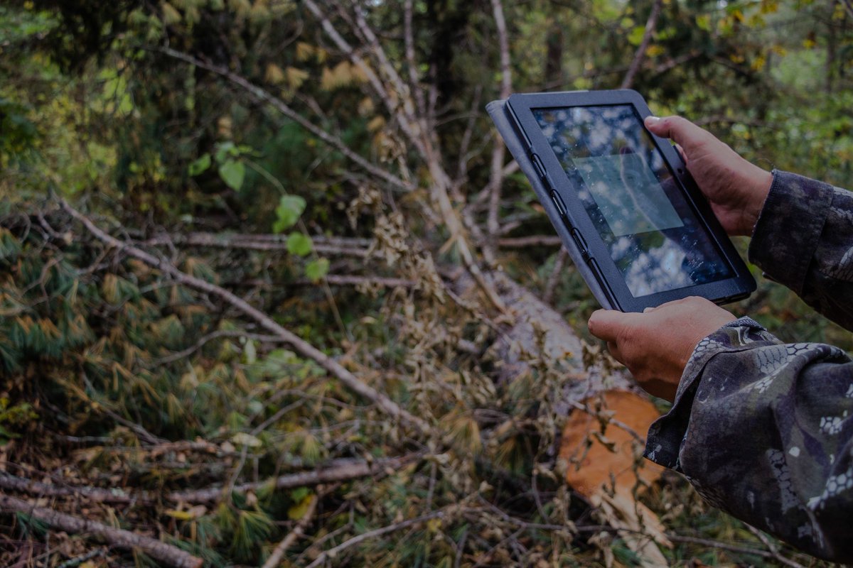 New artificial intelligence technology in Russia is helping monitor #forest loss and tackle illegal logging in some of the world's most important natural habitats. #connect2forests #innovation @wwfRU @wwf_media 

wwf.panda.org/?965666