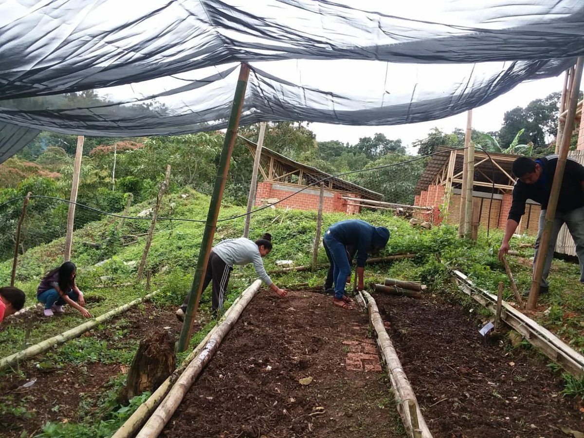 comunaltaller's tweet photo. Otra de las actividades de la #EscuelaRuralProductiva es rescatar la medicina tradicional y la siembra de hortalizas, así como el aprovechamiento de los #MaterialesLocales para la construcción y el mobiliario. 👇🏽 https://t.co/D8qsuCJSPA