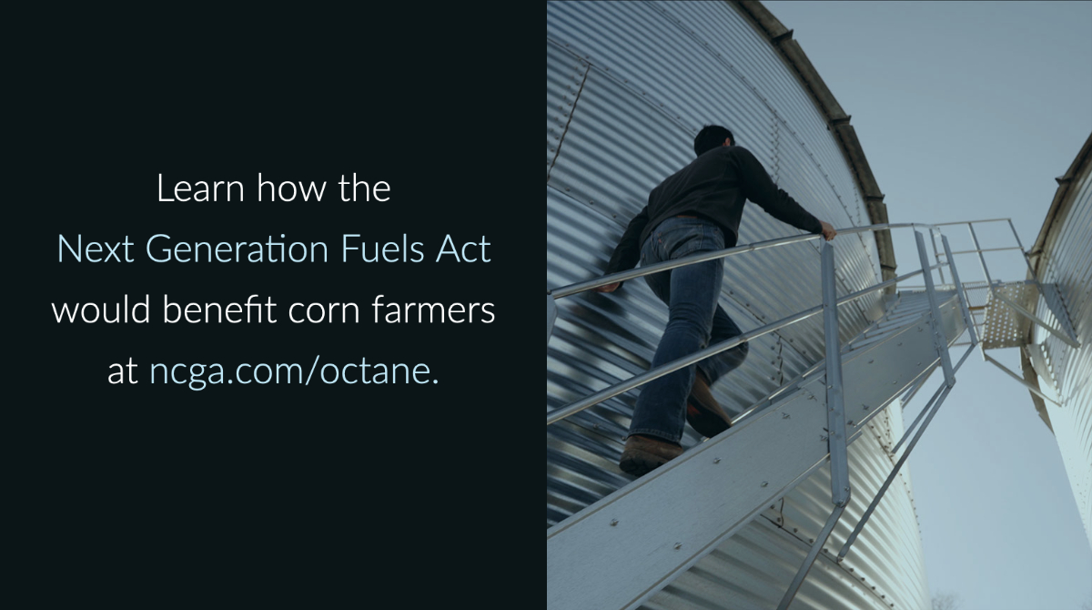 National Corn (NCGA) (@nationalcorn) on Twitter photo The Next Generation Fuels Act introduced by <a href="/RepCheri/">Archive: Rep. Cheri Bustos</a> would establish a new 98 RON fuel, supporting mid-level blends like E25 and E30 which would generate new corn grind. Learn more about this effort at ncga.com/octane. The Next Generation Fuels Act introduced by <a href="/RepCheri/">Archive: Rep. Cheri Bustos</a> would establish a new 98 RON fuel, supporting mid-level blends like E25 and E30 which would generate new corn grind. Learn more about this effort at ncga.com/octane.
