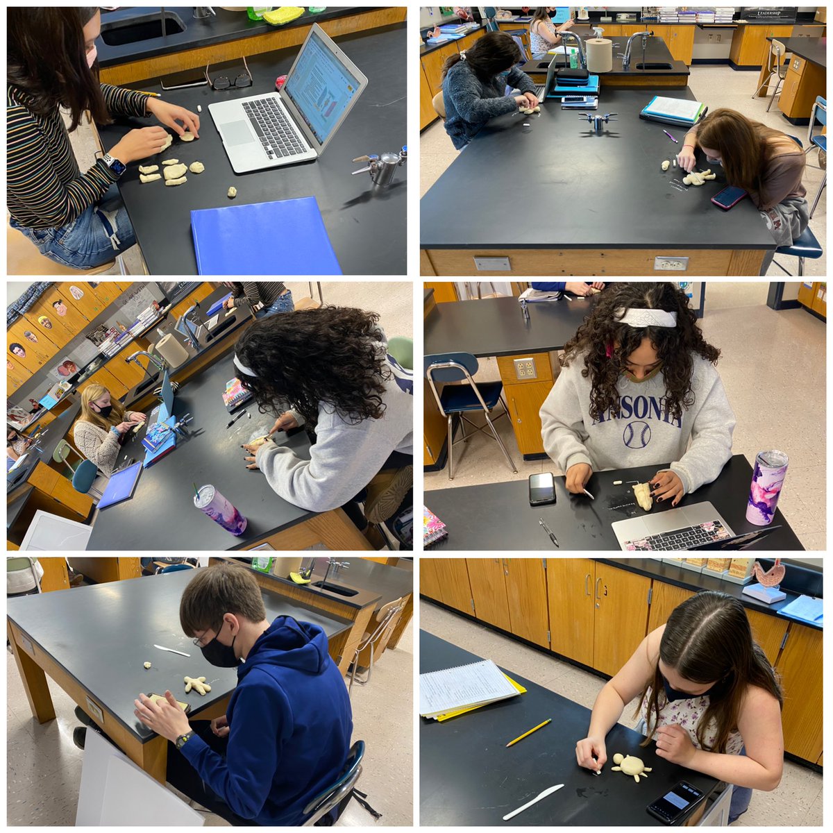 MrsAllegretto's tweet photo. A&amp;P Class 2 practicing “plane” terminology! https://t.co/bP5uJzT5sF