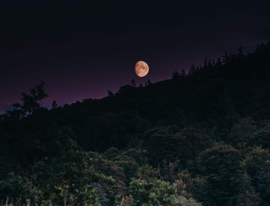 #FridayPhoto There aren't many sights as beautiful as a #fullmoon over #Glenmalure.
@visitwicklow @WicklowHour @DigitalDetoxes @ancienteastIRL @broadsheet_ie https://t.co/8Ku5X780vy