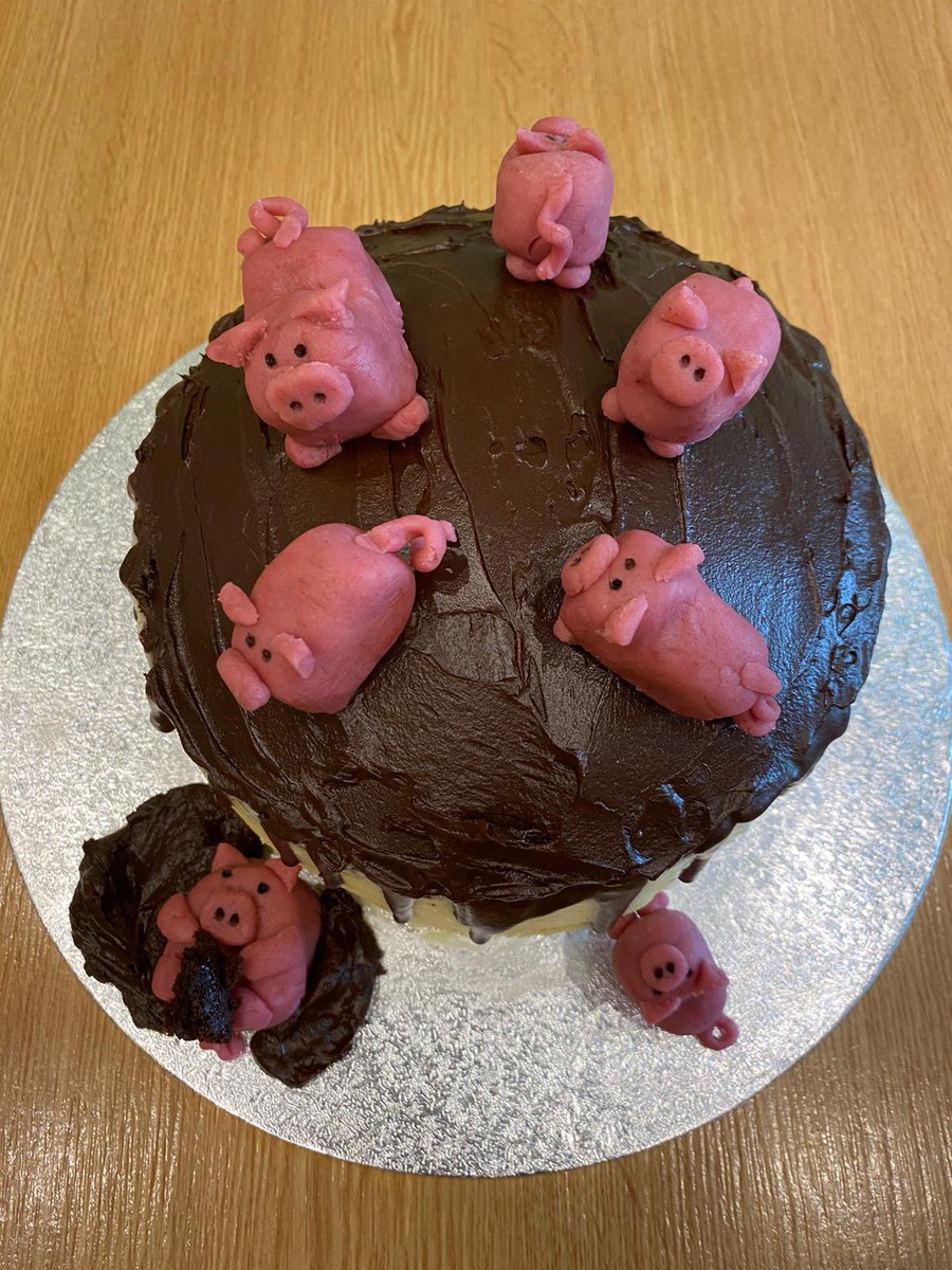 MillieMall's tweet photo. It was all go in the kitchen this weekend for the final challenge of the #LIBakeOff .... CAKE WEEK! ๐ ๐ฐ Once again our young lady took inspiration from the amazing & talented @kimjoyskitchen ... this time for a scrumptious โPigs in Mudโ creation! ๐ท PAWSOME! #kittyloafmonday https://t.co/RNwrpSBqDR