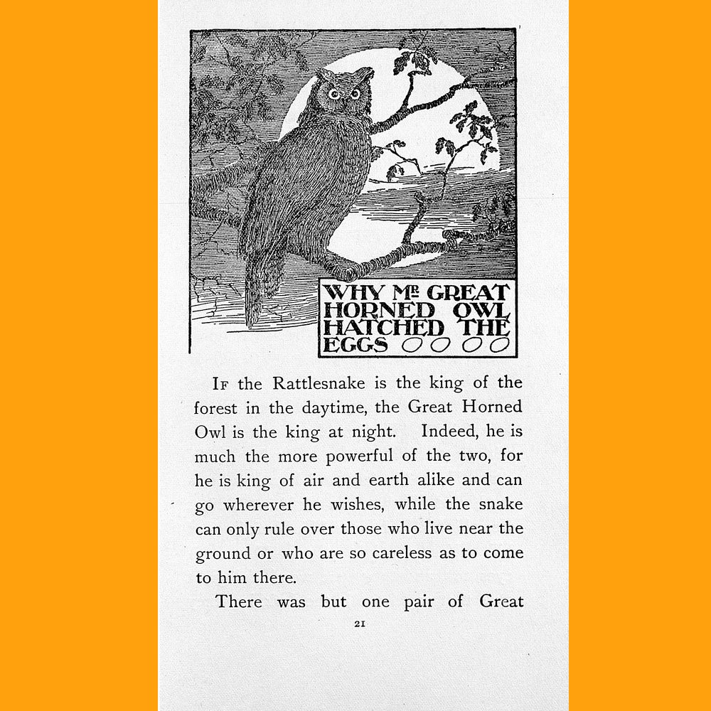 UFLIBDigital tweet media