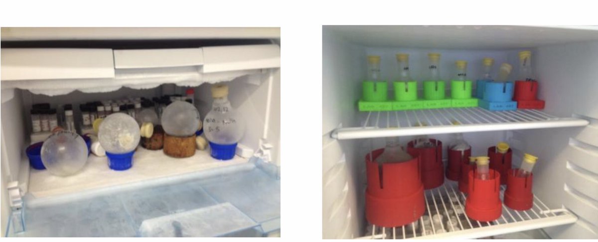 stephen hilton tweet media