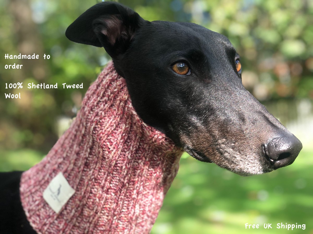 Excited to launch LondonHound.etsy.com today #greyhound #lurcher #whippet #galgo #sighthound #handknitted dog snoods 100% #shetland #Tweed #wool