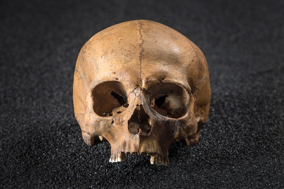 4/5) ..At some point his head and the heads of the 38 other men were thrown in a shallow pit filled with stagnant water (a 2000 year-old water beetle was found inside his skull), where eventually the remains were buried. Who was this man who met a violent end in Roman Londinium?