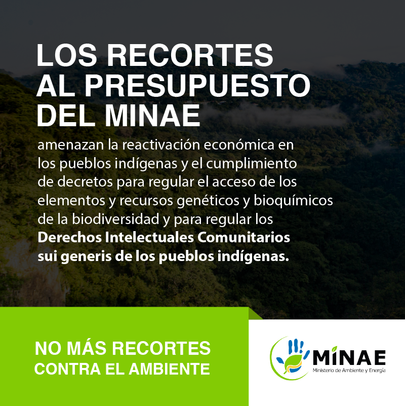 CRMinae's tweet photo. El presupuesto del MINAE es clave para proteger nuestro patrimonio natural y para la recuperación sostenible del país. #NoMásRecortesContraelAmbiente #CONAGEBIO https://t.co/sl766x3O1u