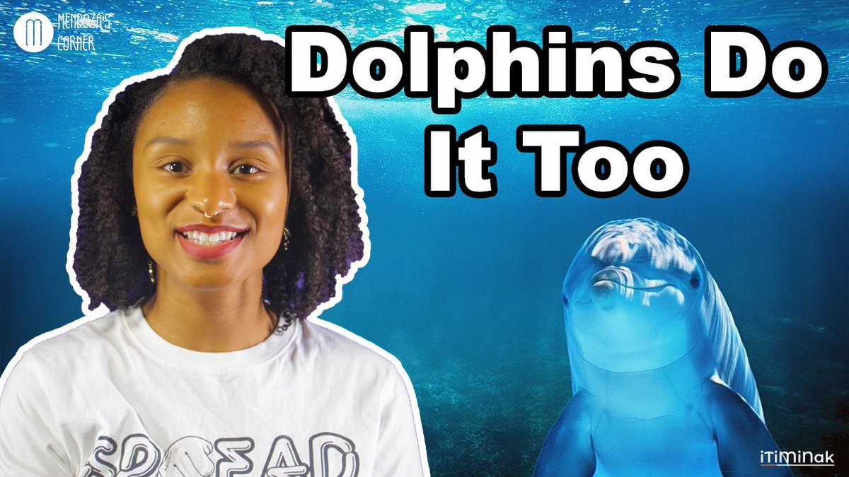 iTiMiNak1's tweet photo. Dolphins can be homosexual too!! Check out our YouTube channel for details - 7 PM Eastern. https://t.co/IT0bB9483e https://t.co/htbD3fwQw5