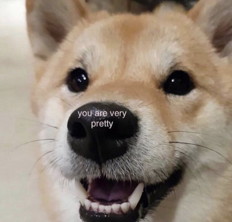 RespectfulMemes's tweet image. 