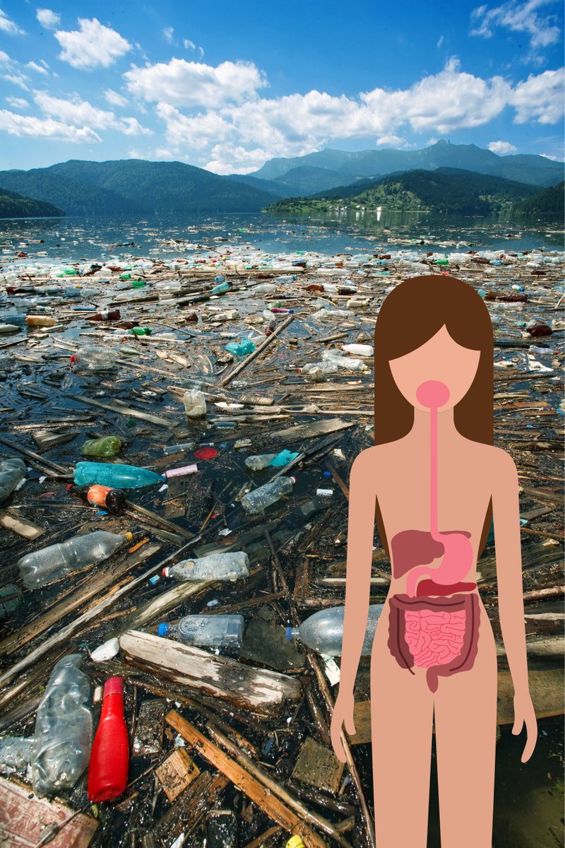 Proven Body Detox &amp;amp; Weight Loss Supplement

Cleanse your body of harmful toxins and lose weight at the same time
pin.it/6jt1HA2