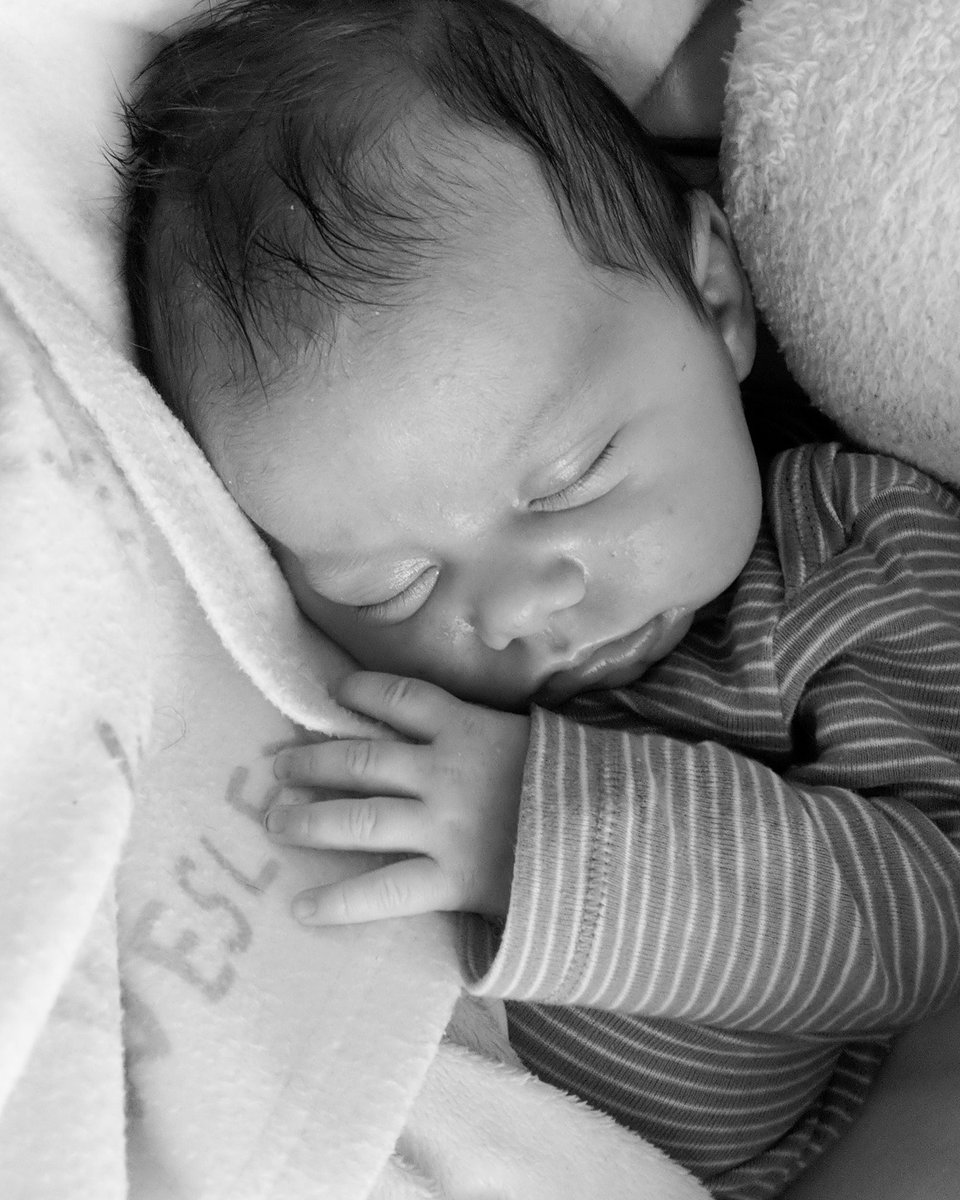 StandeferHannah's tweet image. Soaking up every minute of time with the new addition to our family ♥️